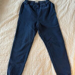 Rudy Jude Adult Gym Sweats- Indigo M